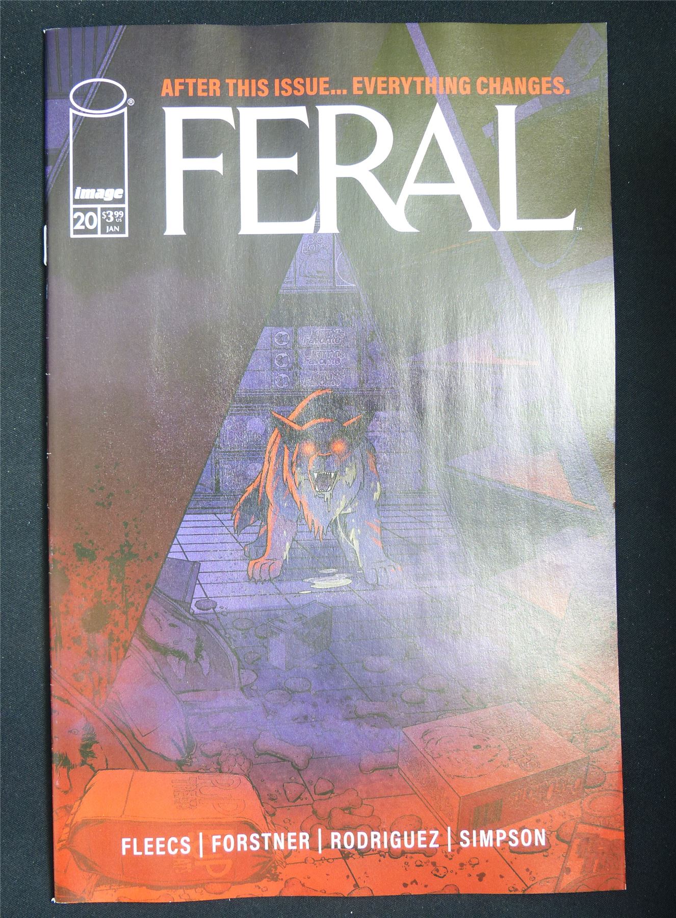 FRAL #20 - B&B Feb 2026 Image Comic #1WM
