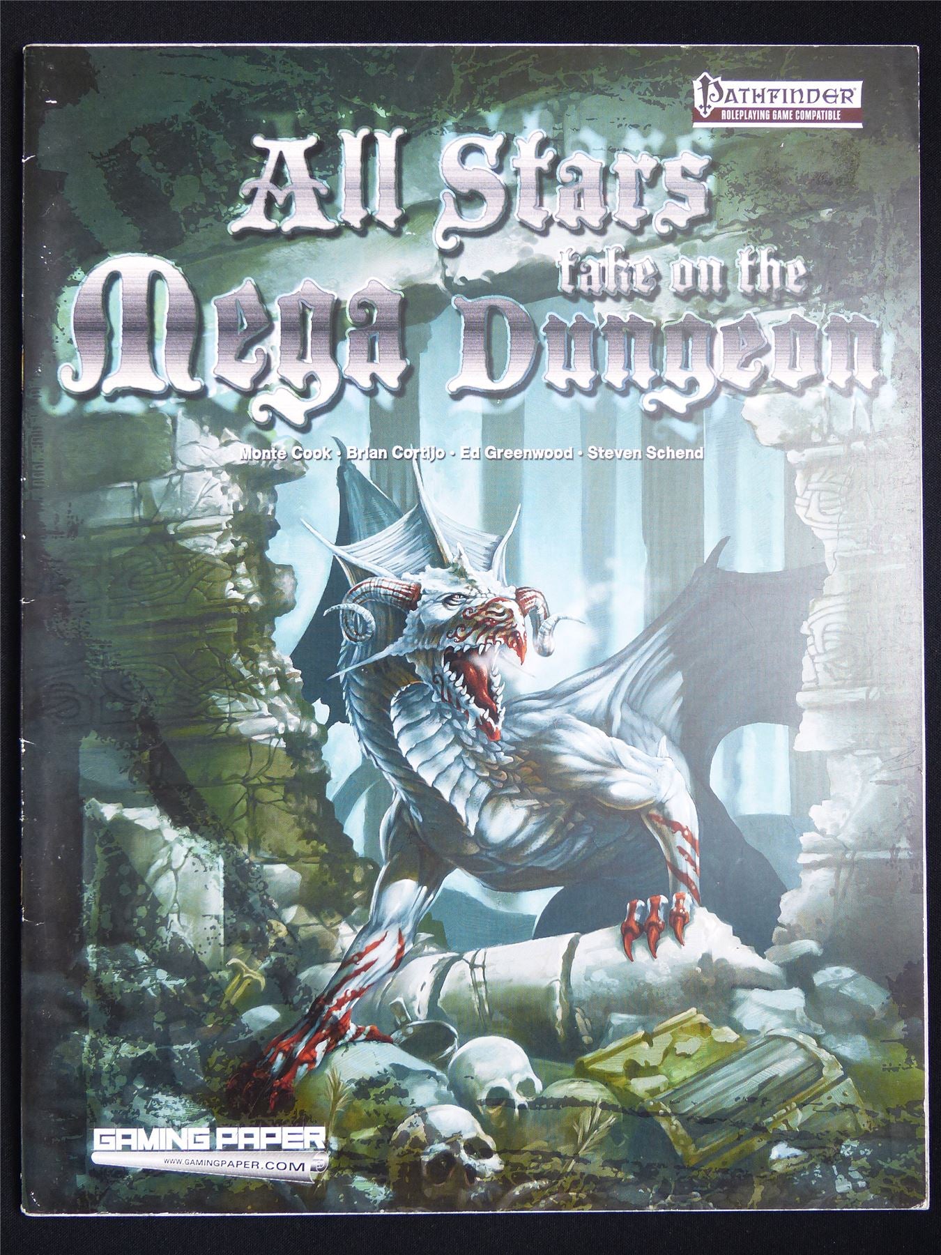 All Stars take on the Mega Dungeon Campaign Booklet: Pathfinder Compatible Roleplay #6N4