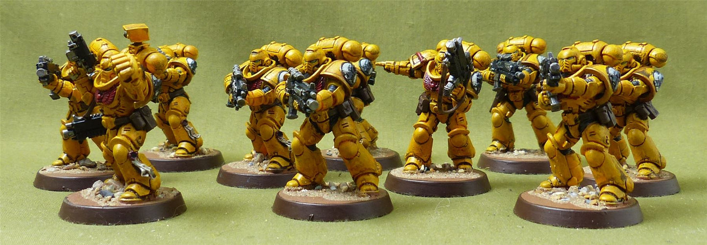 Interceossors painted - Imperial Fist - Warhammer 40K #40R