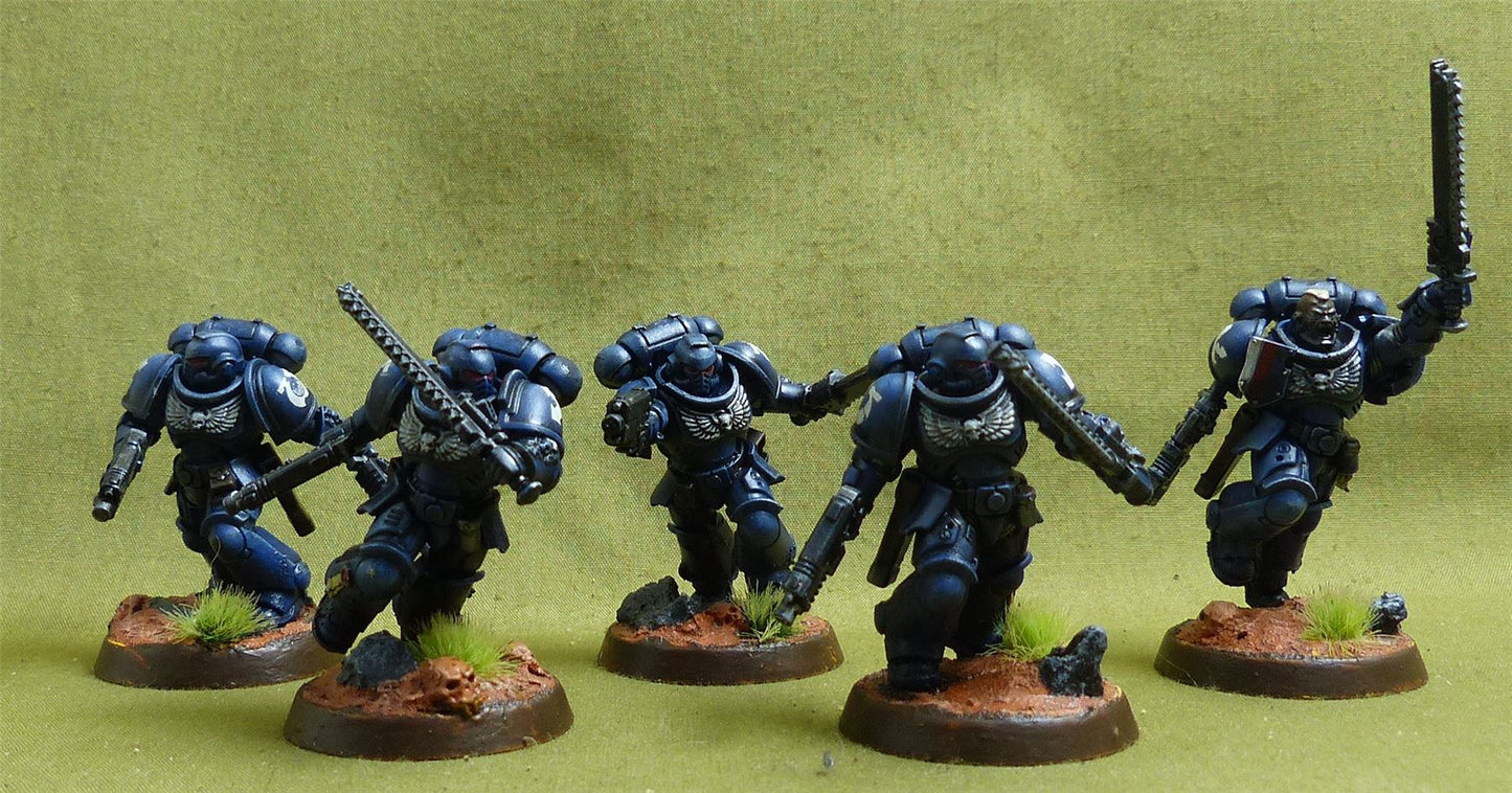 Assault Intercessor Squad set of 5 painted - Space Marines - Warhammer 40K #1IX