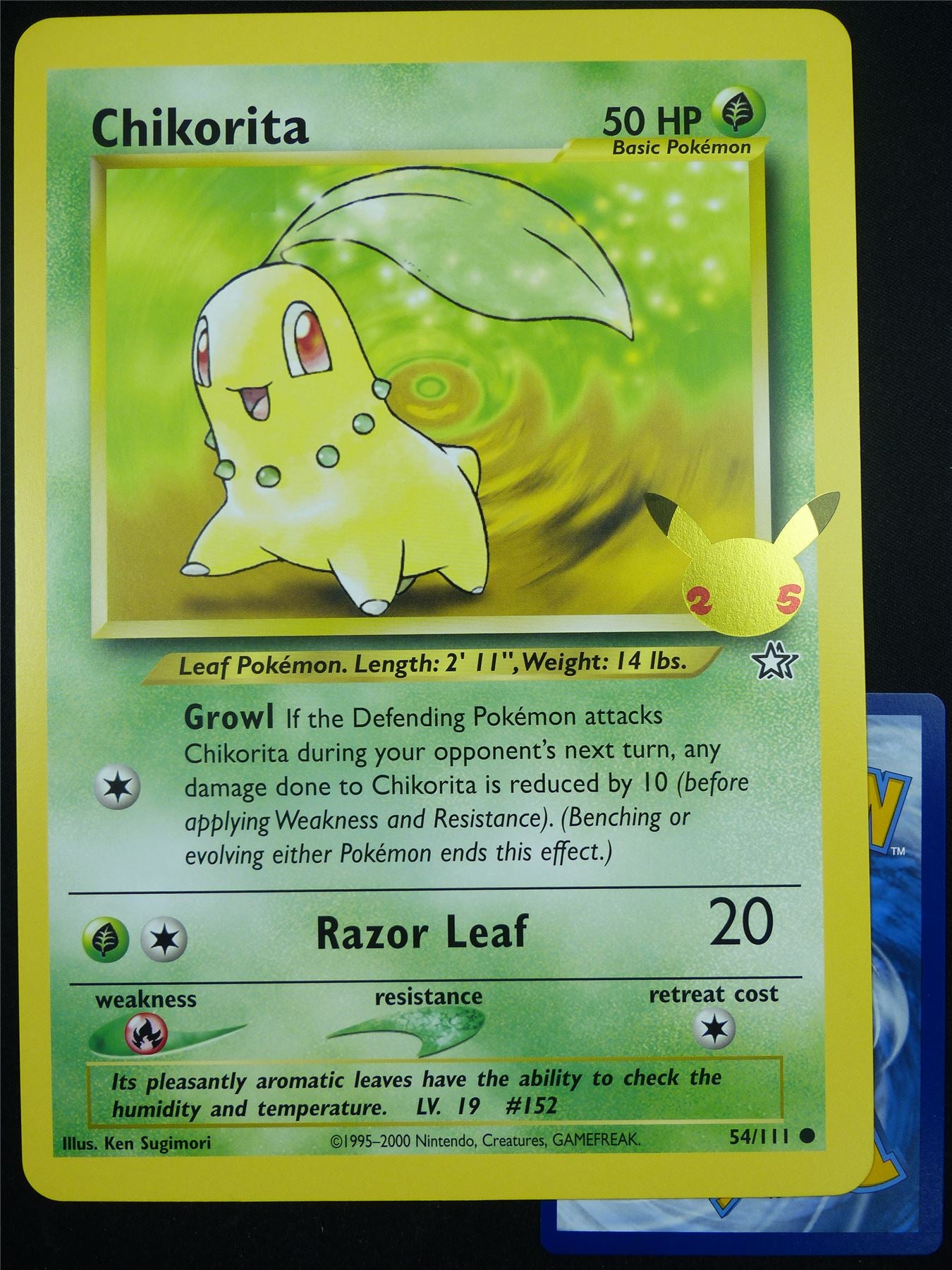 Chikorita 54/111 25th Celebration Promo - Jumbo Pokemon Card #53R