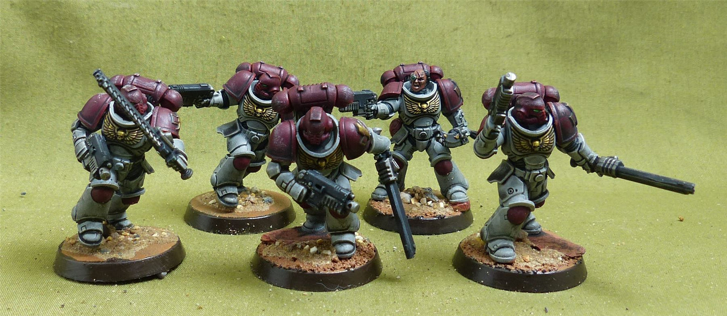Assault Intercessor Squad set of 5 painted - White Scars - Warhammer 40K #5ST
