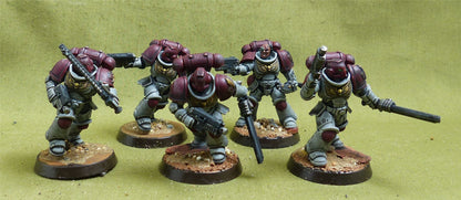 Assault Intercessor Squad set of 5 painted - White Scars - Warhammer 40K #5ST