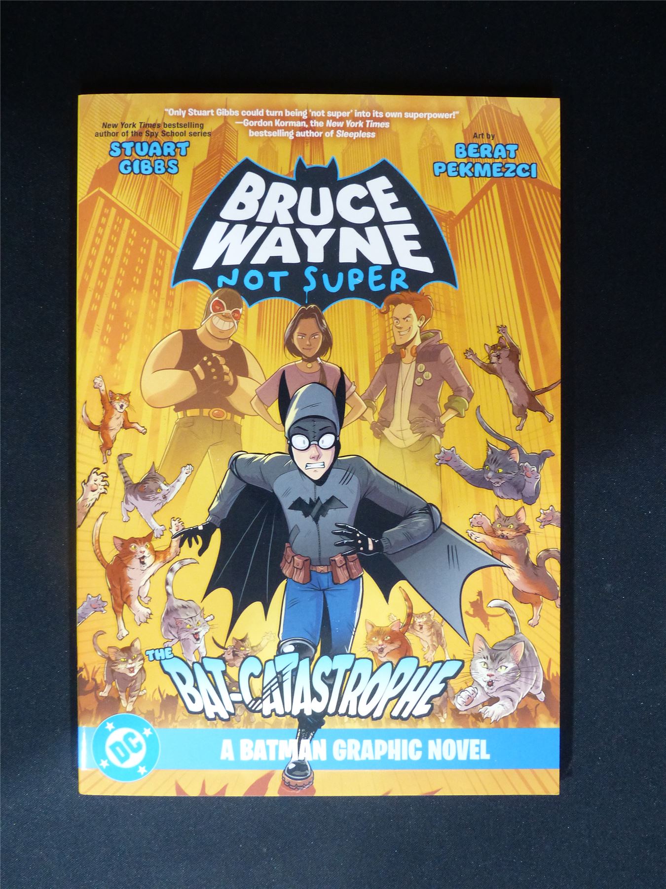 Bruce Wayne Not Super: The bat-catastrophe - DC Graphic Softback #307