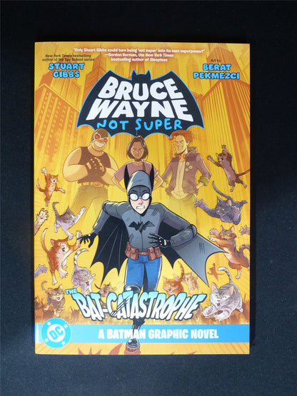Bruce Wayne Not Super: The bat-catastrophe - DC Graphic Softback #307