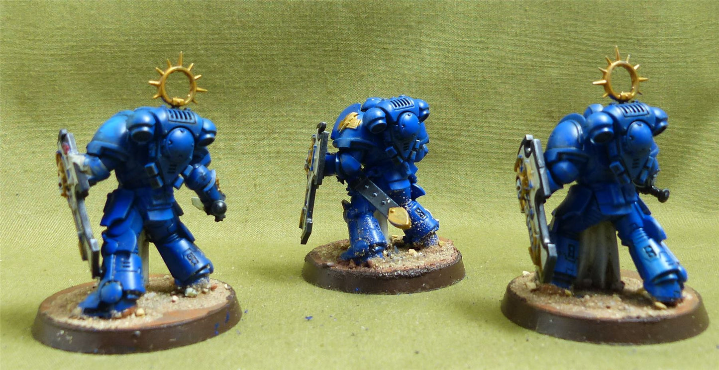 Bladeguard Veteran Squad painted - Space Marines - Warhammer 40K #6TS
