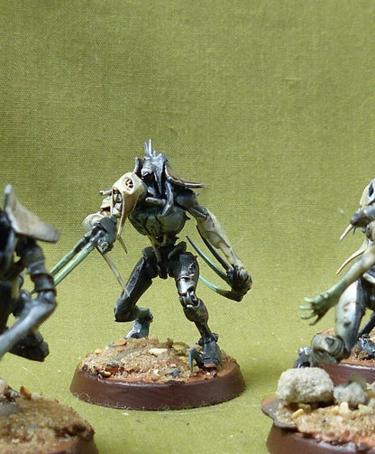 Flayed Ones painted - Necrons - Warhammer 40K #40M