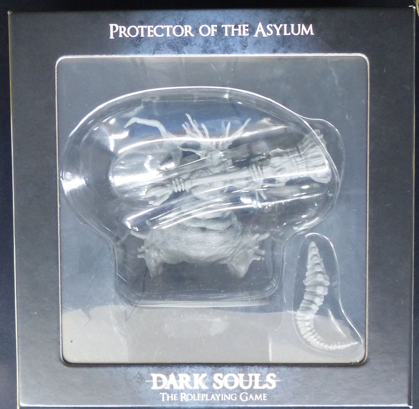Protector of the Asylum - Dark Souls Roleplaying Game Miniatures #3KV