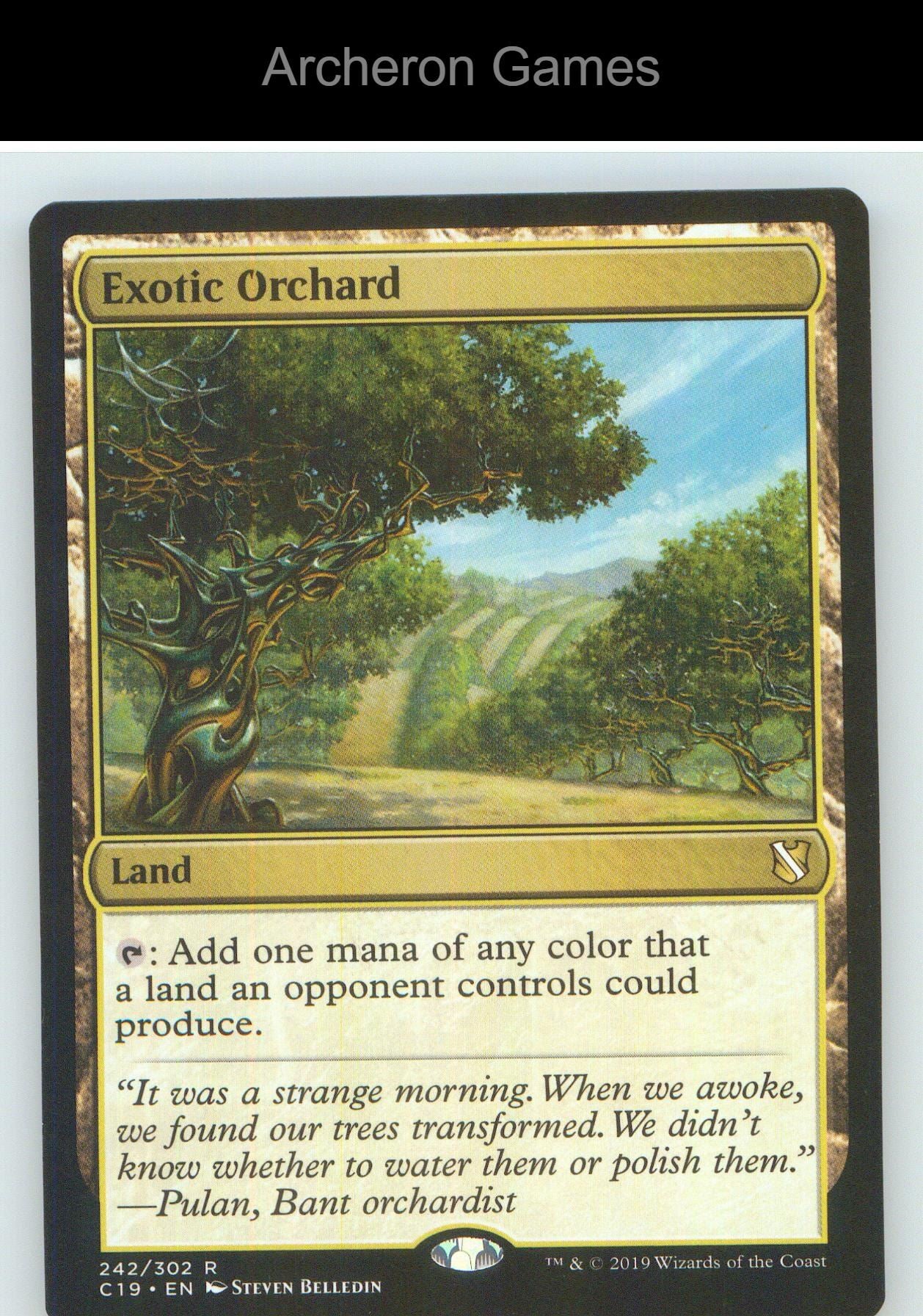 Exotic Orchard C19 242 R MTG Card NM/EX+