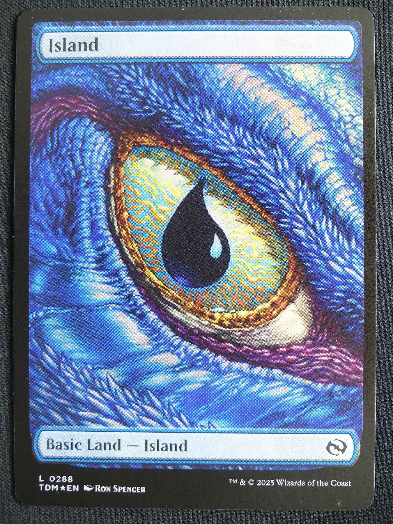 Island Full Art Foil 0288 - TDM - Mtg Card #3FM