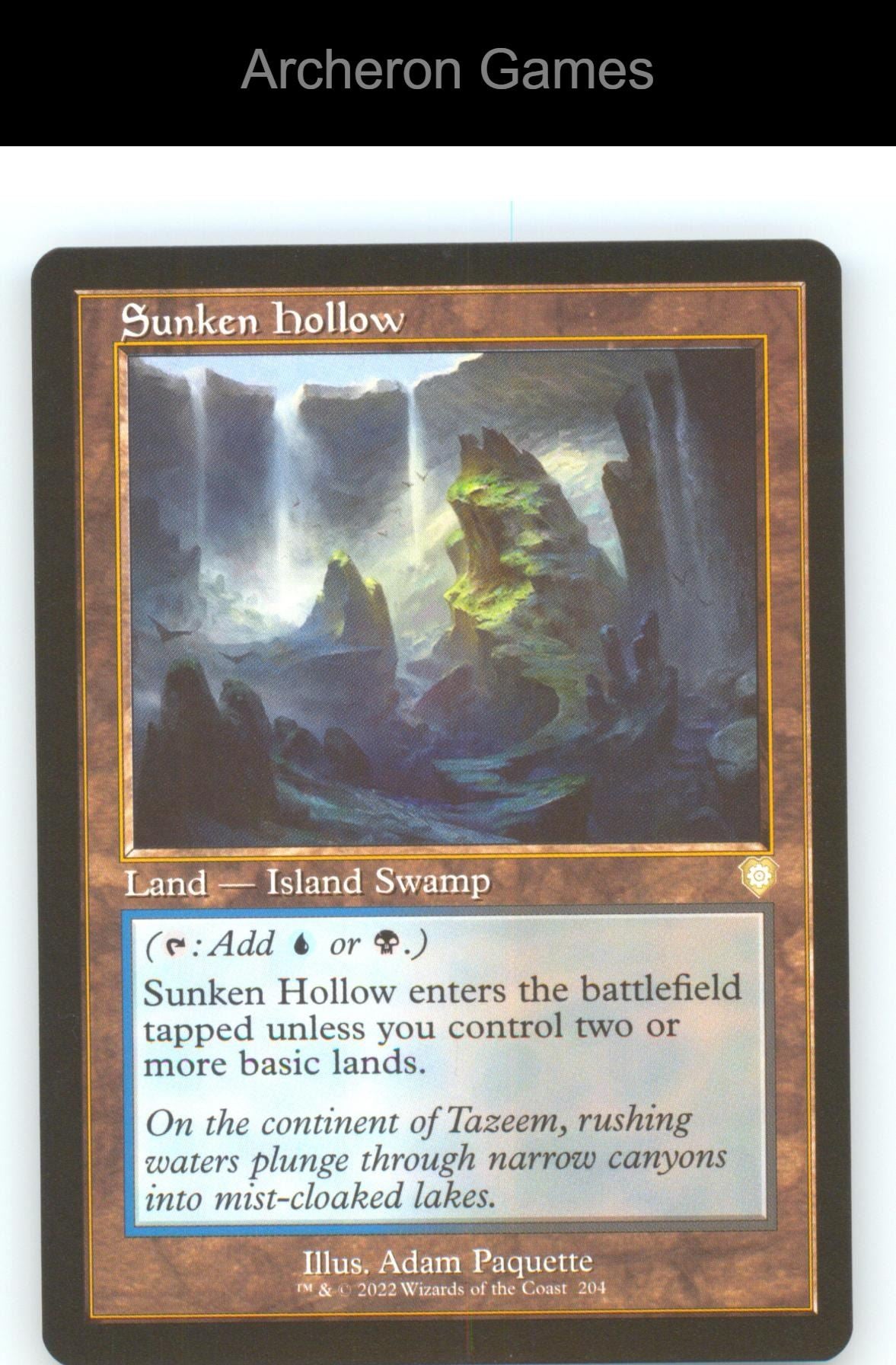 Sunken Hollow (Retro Frame) BRC 204 R MTG Card NM/EX+