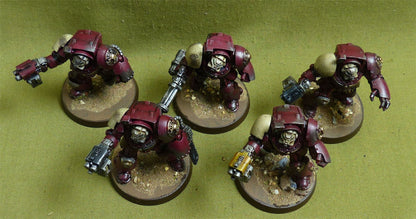 Terminator Squad painted - Space Marines - Warhammer 40K #1BC