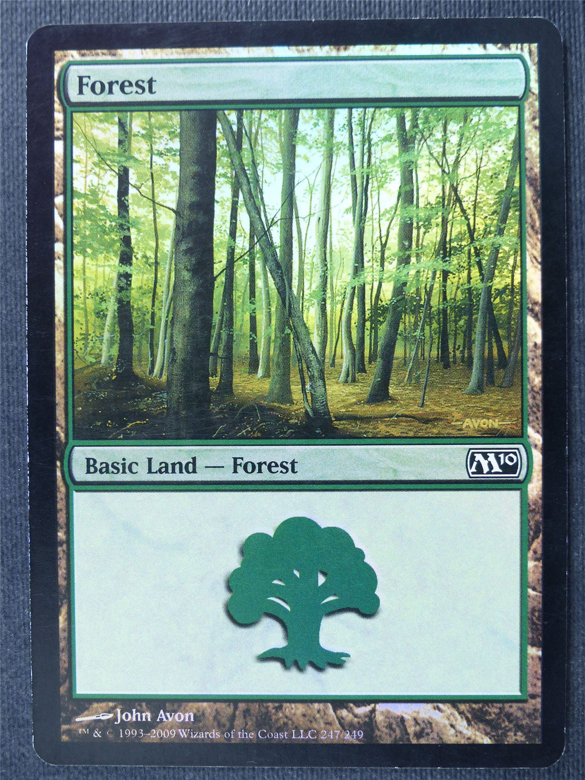 Forest 247/249 Foil - Mtg Magic Cards #2Q2