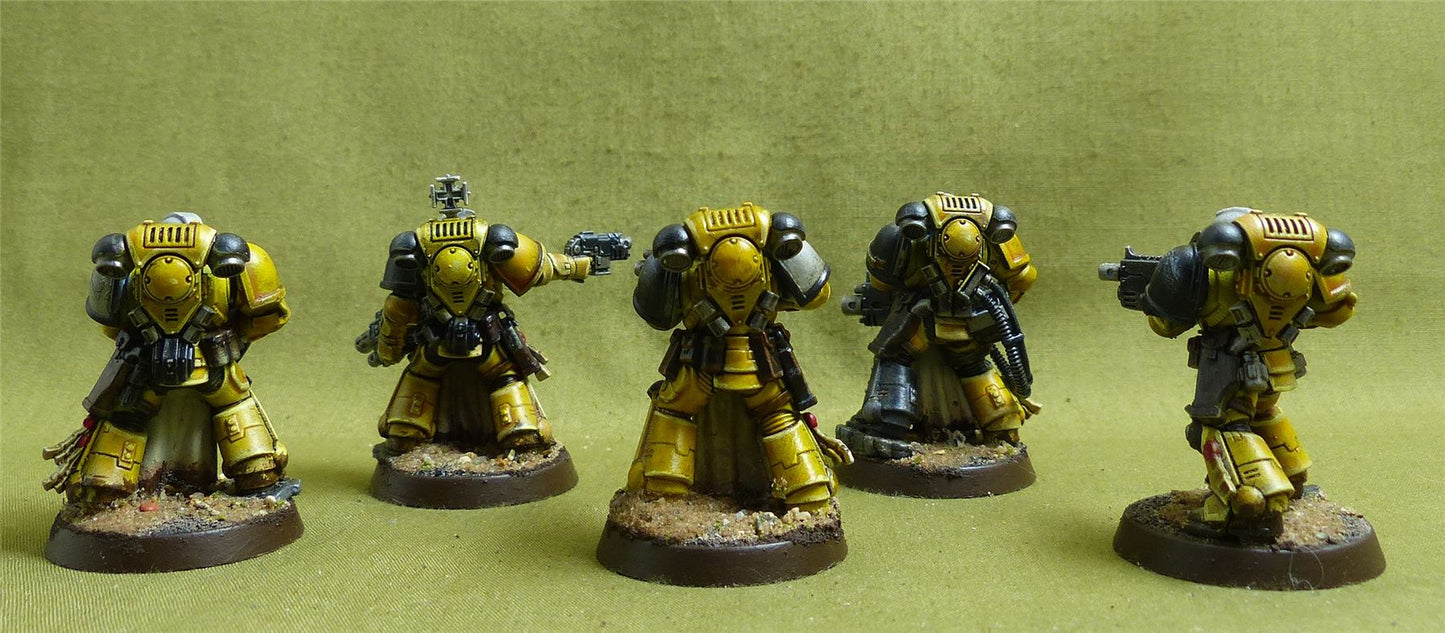 Intercessor Squad set of 5 painted - Space Marines - Warhammer 40K #1IW