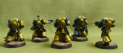 Intercessor Squad set of 5 painted - Space Marines - Warhammer 40K #1IW