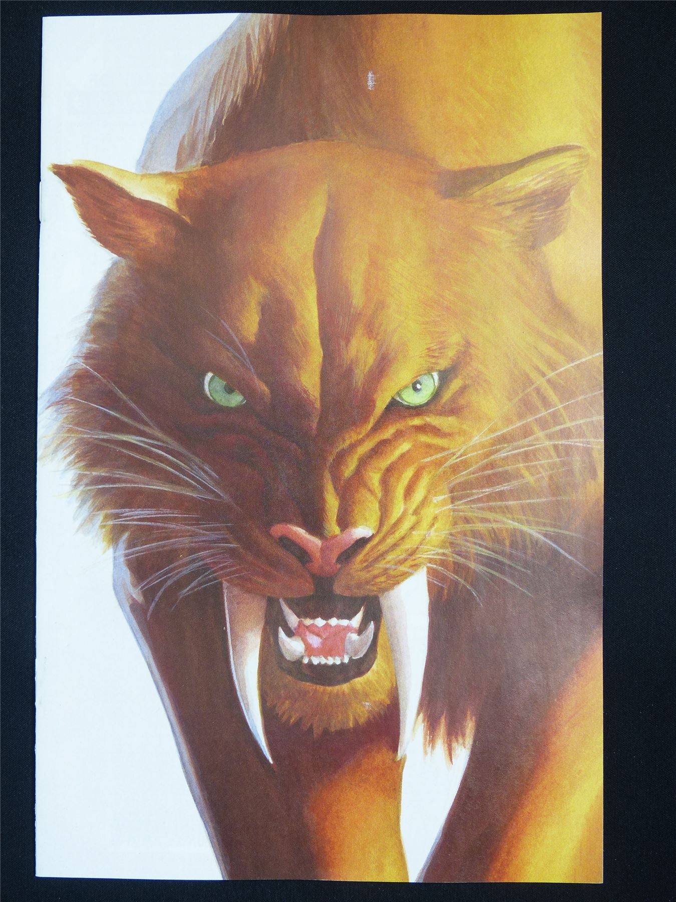 BLACK Cat #2 Alex Ross Timeless Variant - Nov 2025 Marvel Comic #4FS