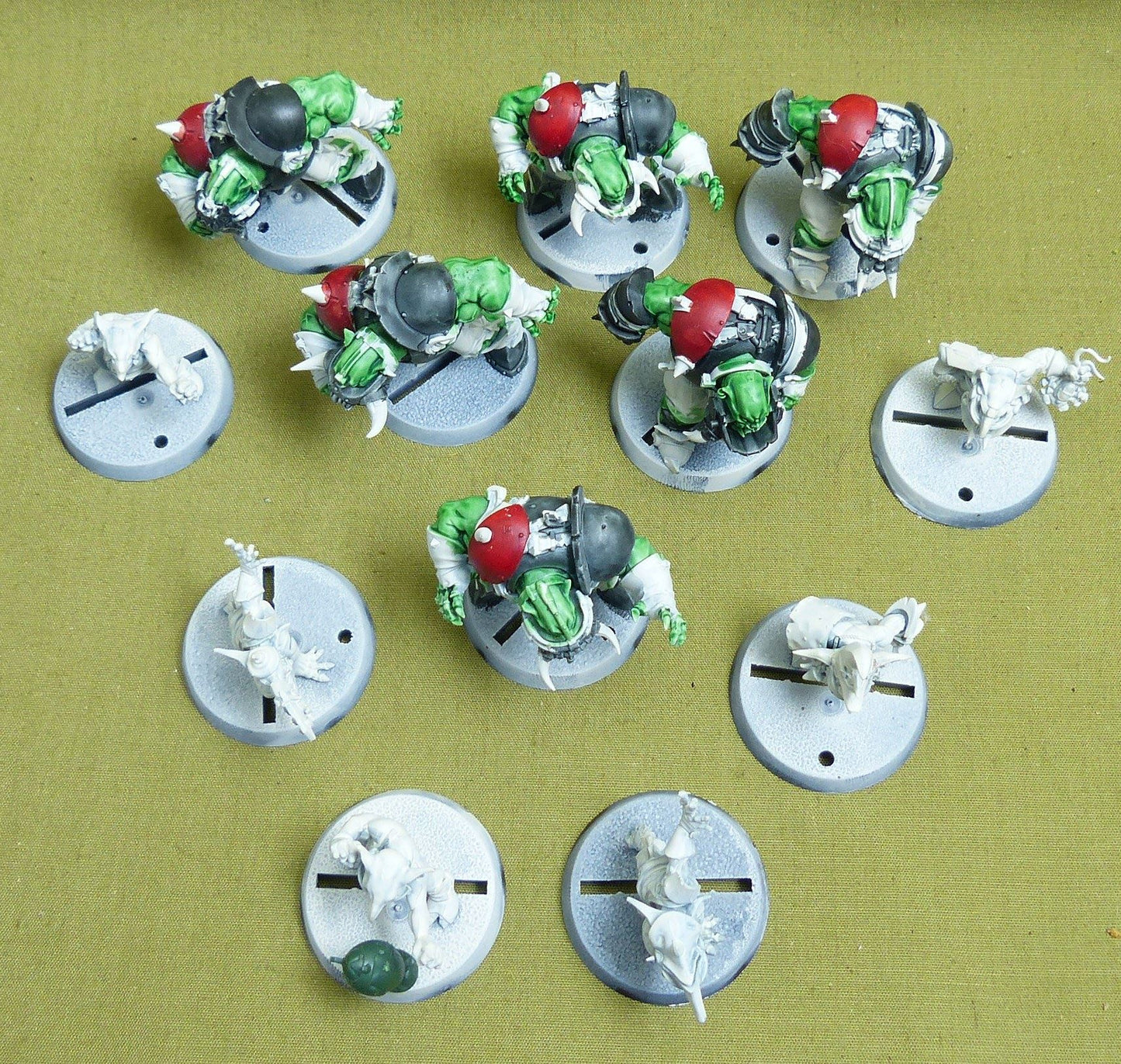 Black Orcs Team: The Thunder Valley Greenskins
  - Warhammer Blood Bowl #44A