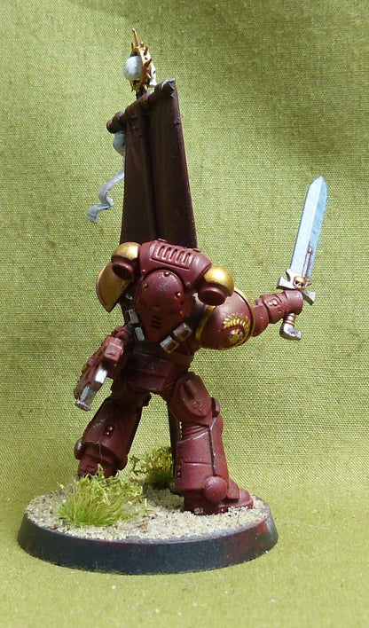 Ancient painted - Blood Angels - Warhammer 40K #3Z5