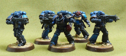 Intercessor Squad set of 5 Painted - Ultramarines - Warhammer 40K #251
