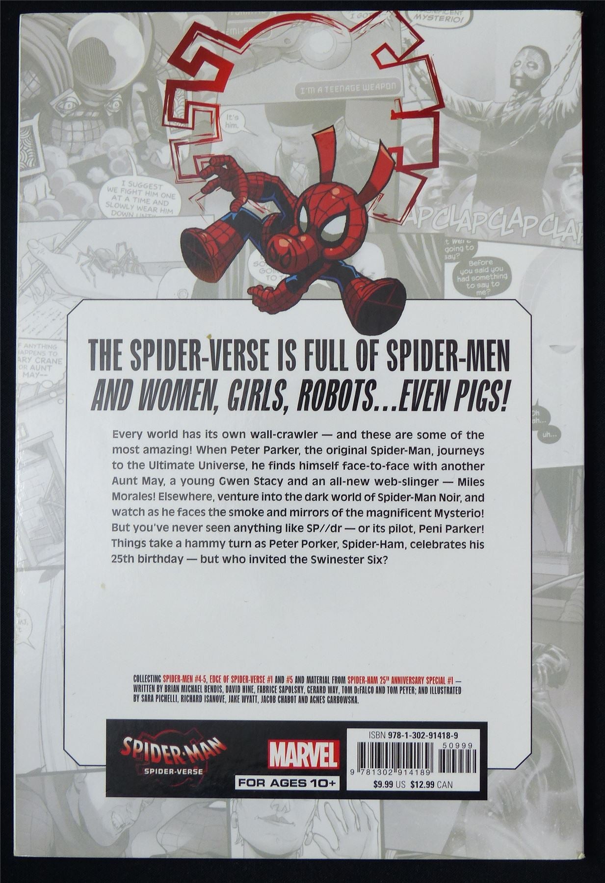 Spider-Man Spider-Verse: Spider-Men - Marvel Graphic Softback #41E