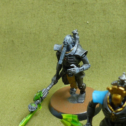 Lychguard painted - Necrons - Warhammer 40K #2D8