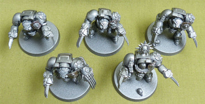 Terminator Assault Squad - Space Marines - Warhammer 40K #4C7