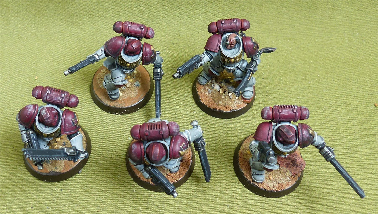 Assault Intercessor Squad set of 5 painted - White Scars - Warhammer 40K #5ST