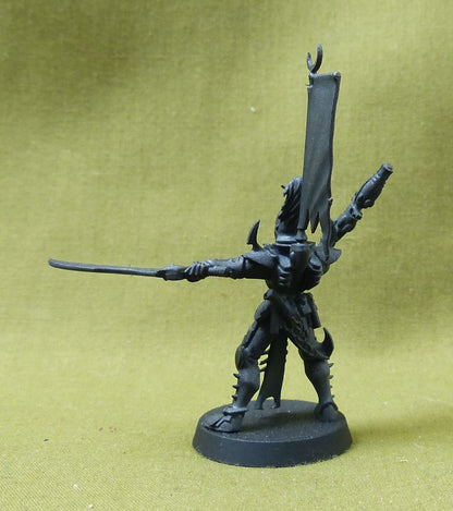 Sybarite Warrior - Drukhari - Warhammer 40K #2D2