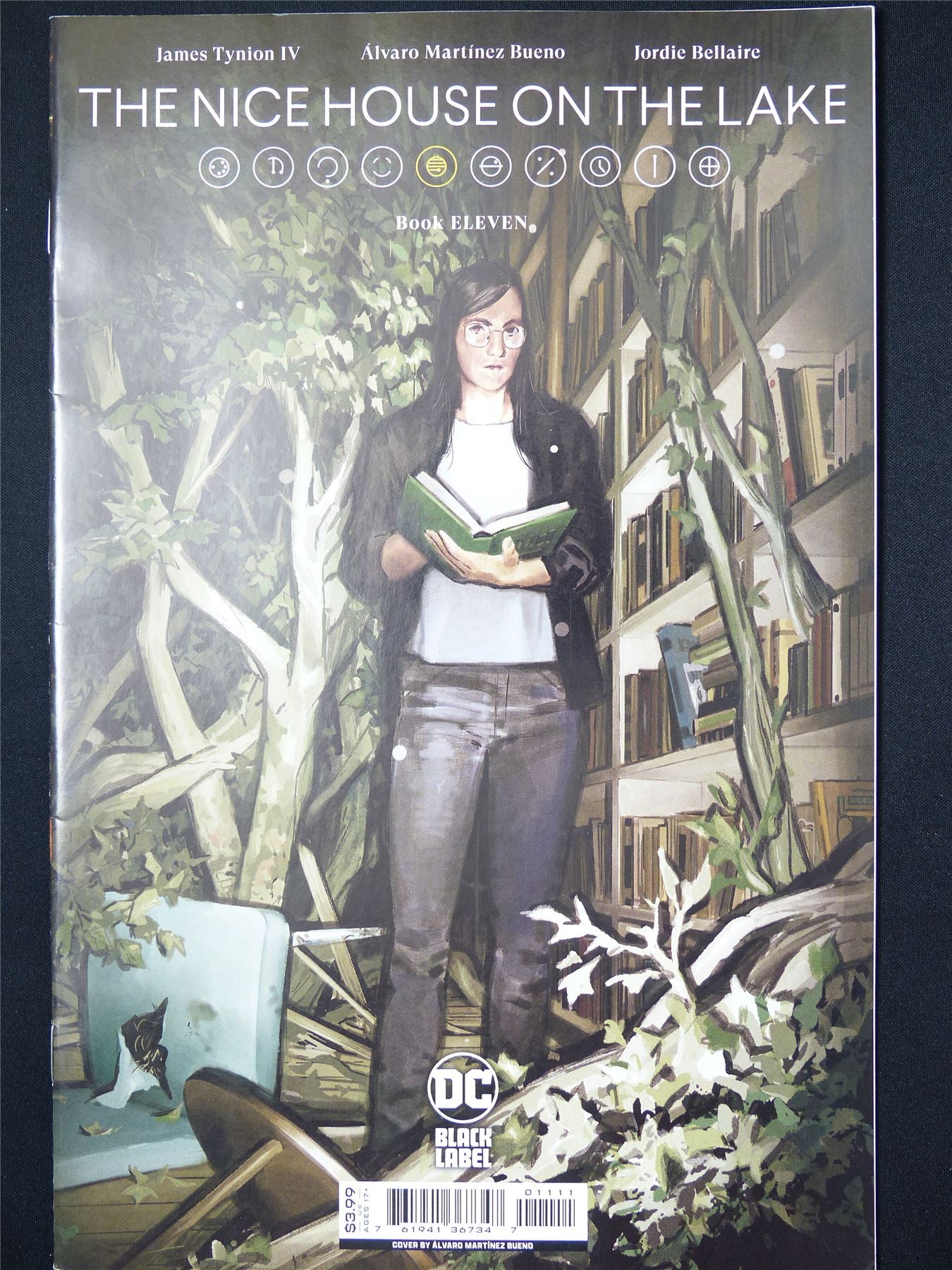 The NICE House on the Lake #11 - B&B DC Comic #7MC