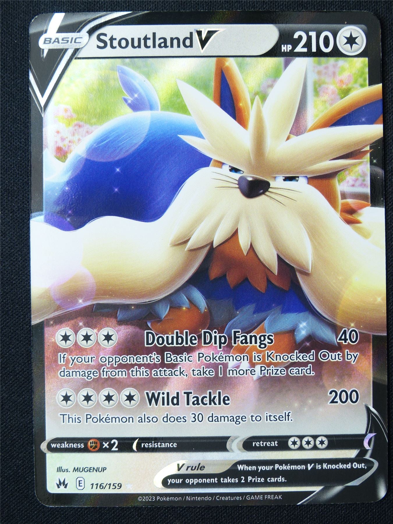 Stoutland V 116/159 Holo - Pokemon Card #1FK