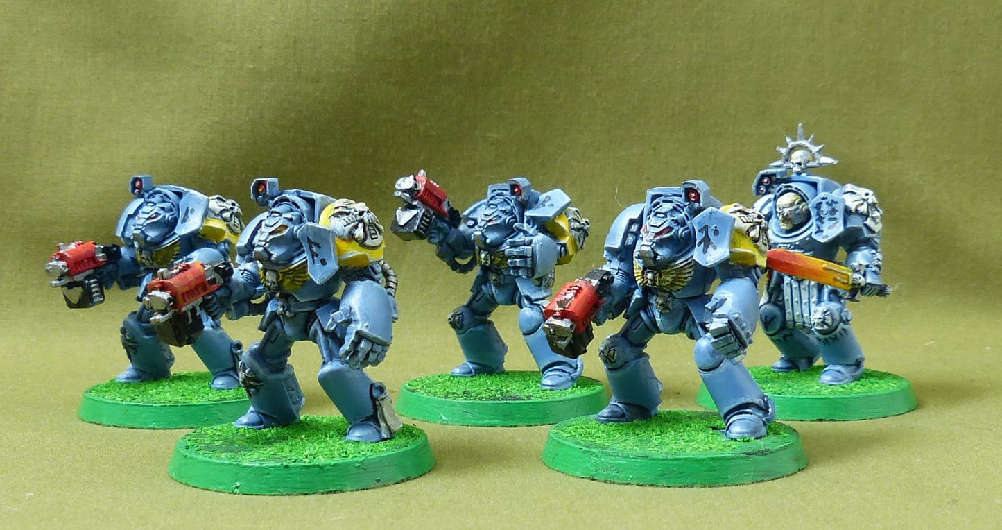 Classic Plastic Terminators painted - Space Wolves - Warhammer 40K #40S