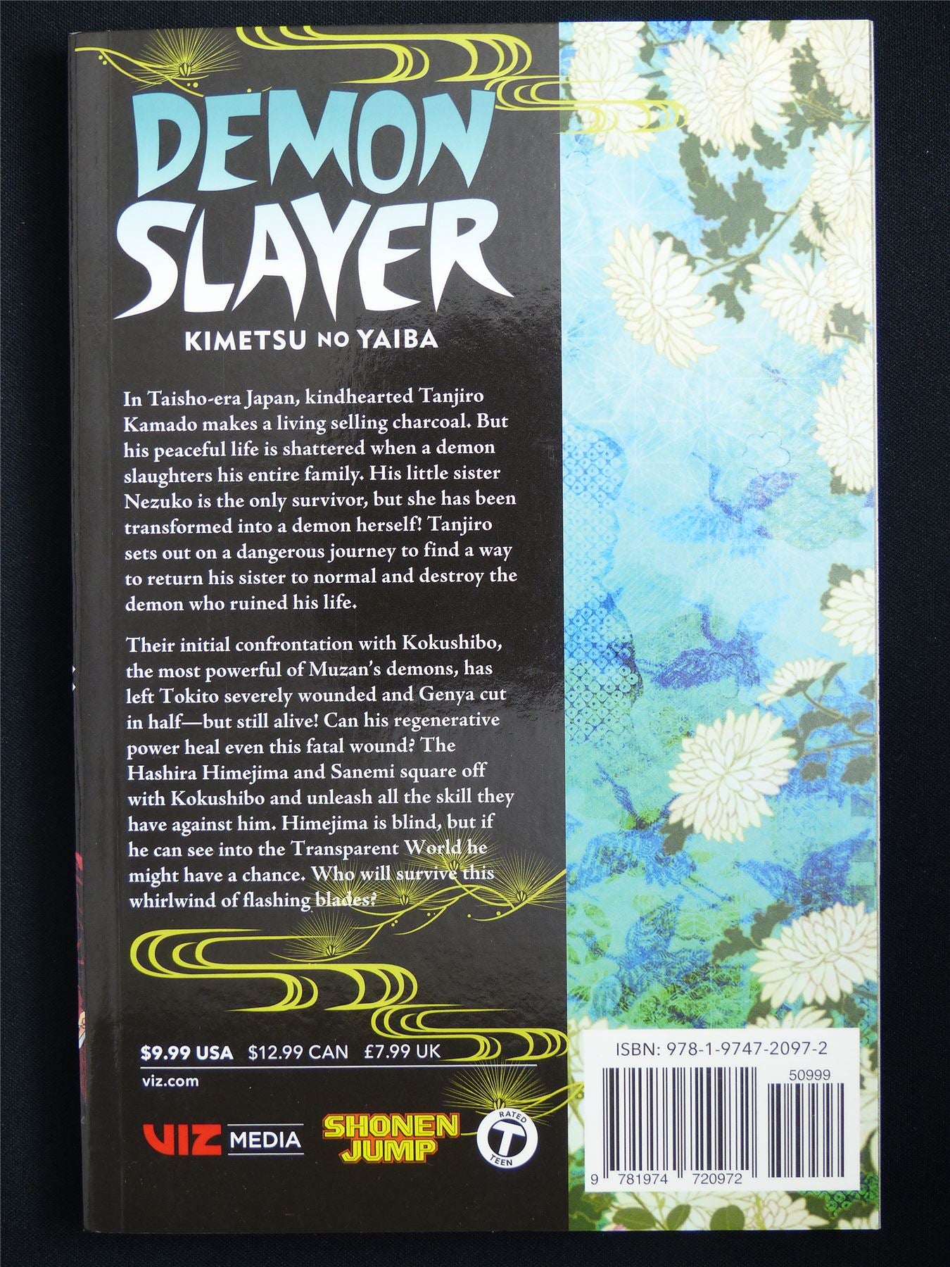 Demon Slayer: Kimetsu no Yaiba volume 20 - Viz Manga #54L