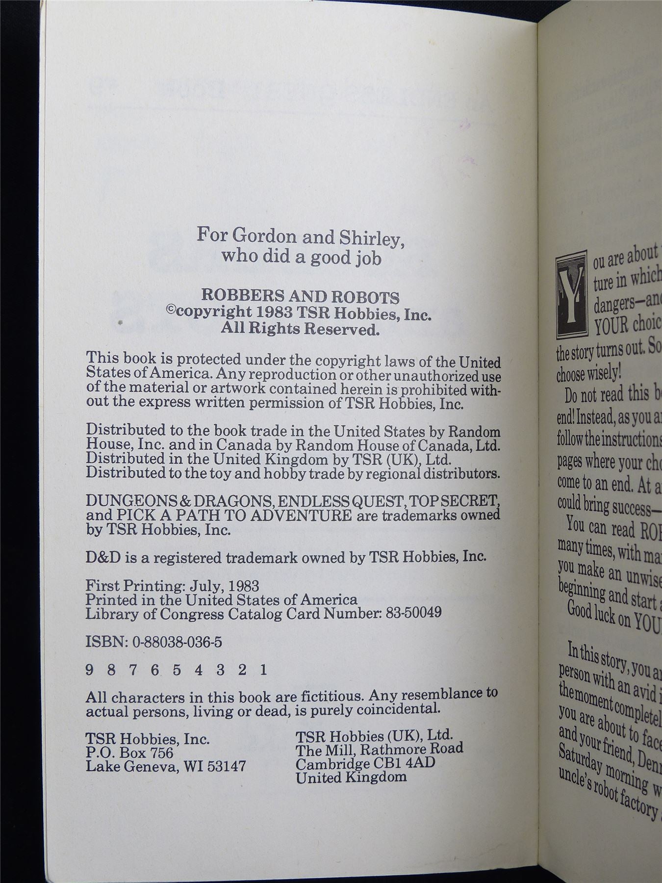 D&D Adventure Book: Robbers and Robots Endless Quest - Vintage Novel Softback #LO