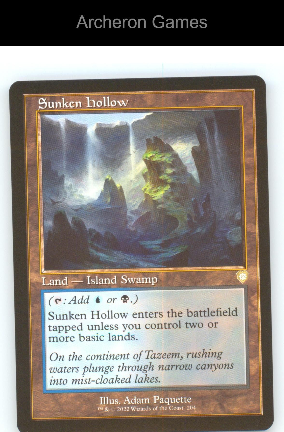 Sunken Hollow (Retro Frame) BRC 204 R MTG Card NM/EX+