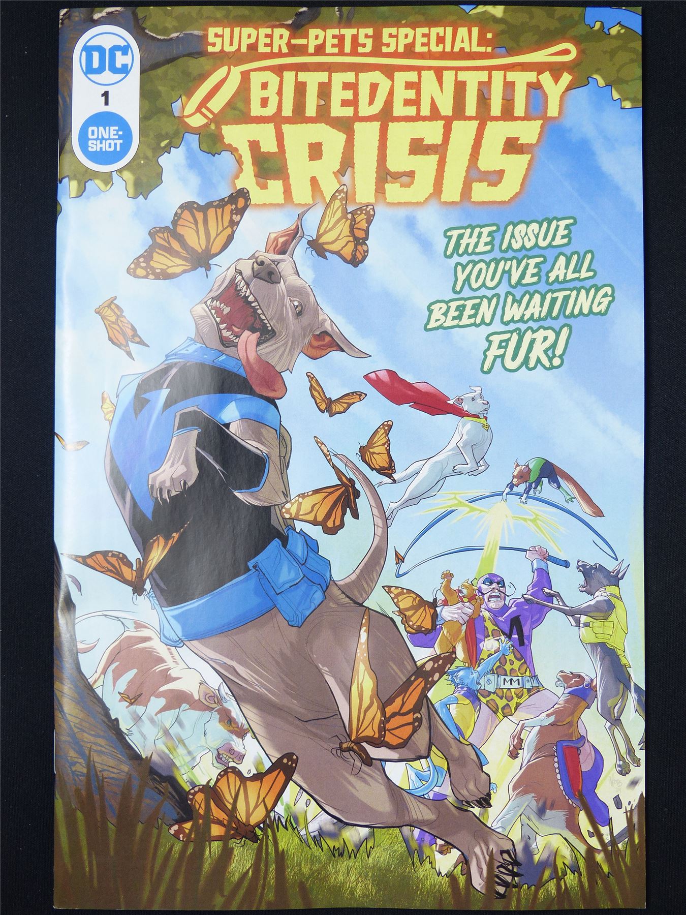 SUPER-PET Special: Bitedentity Crisis One-Shot - B&B Sep 2024 DC Comic #45A