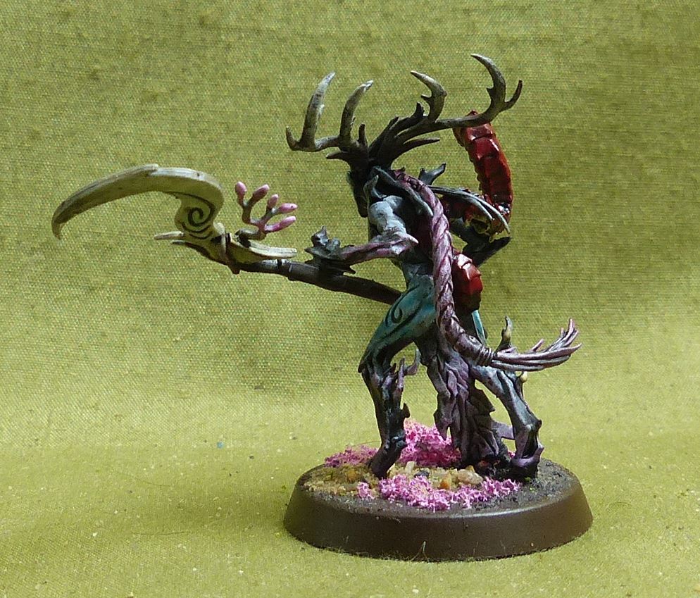 Branchwych painted - Sylvaneth - Warhammer AoS #16X