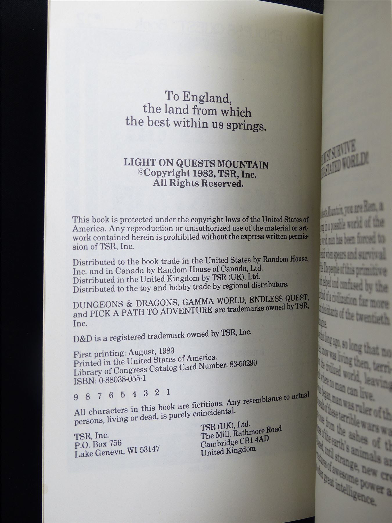 D&D Adventure Book: Light on Quests Mountain Endless Quest - Vintage Novel Softback #LV