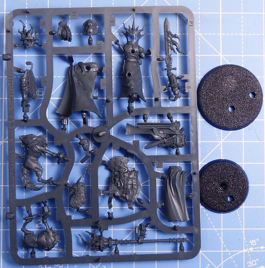 Lord Veritant With Gryph-Crow complete sprue - Stormcast Eternals - Warhammer AoS #4D6