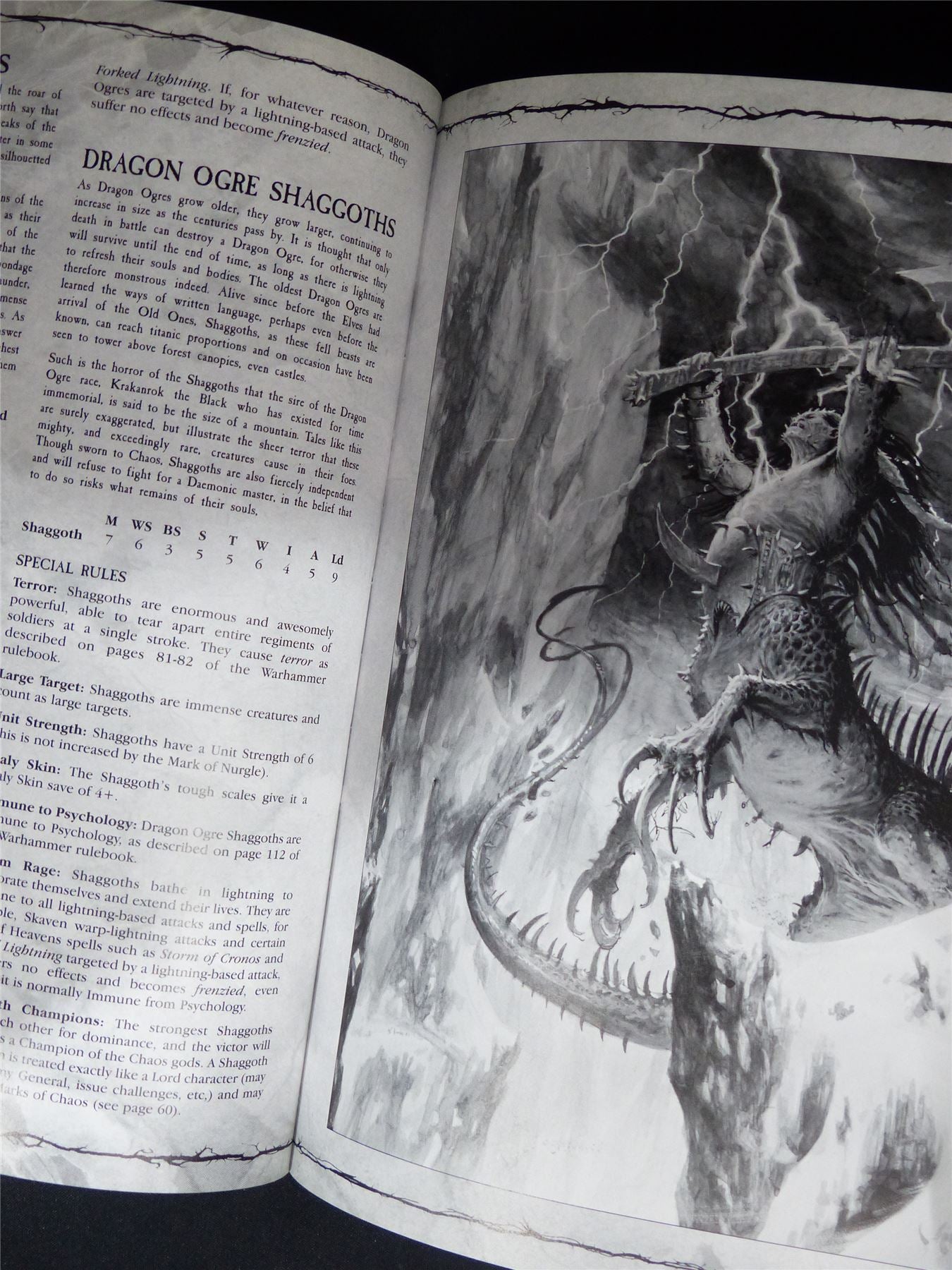 Warhammer Armies: Beasts of Chaos 6th Edition Softback - Warhammer Old World #1HT