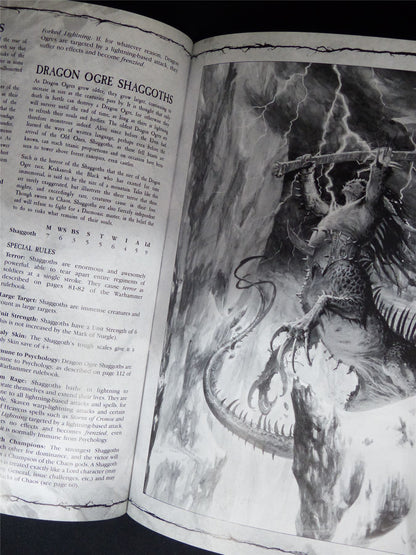 Warhammer Armies: Beasts of Chaos 6th Edition Softback - Warhammer Old World #1HT