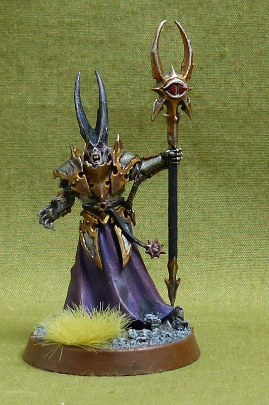 Chaos Sorcerer Lord painted OOP - Chaos - Warhammer AoS #53H