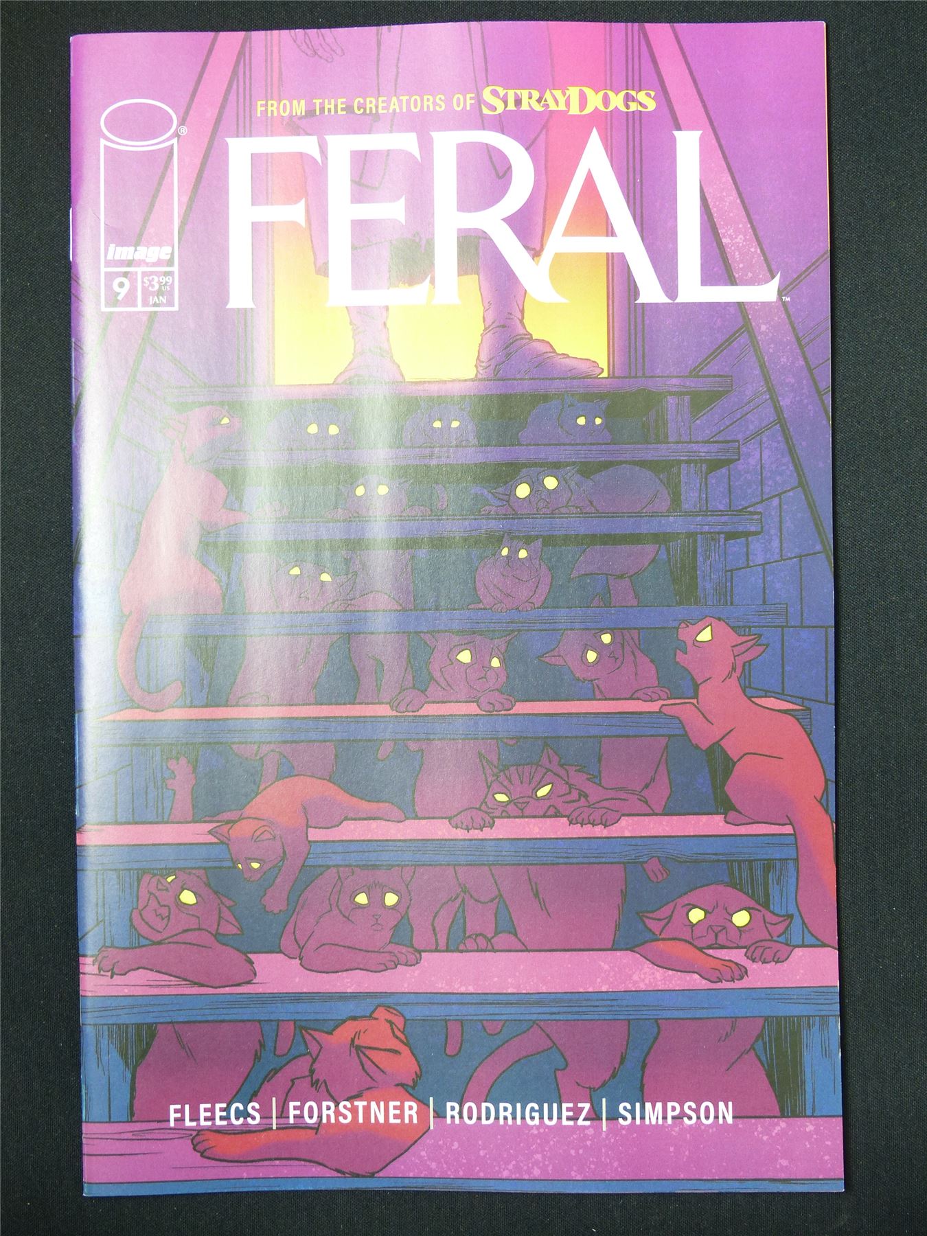 FERAL #9 - B&B Jan 2025 Image Comic #7E8
