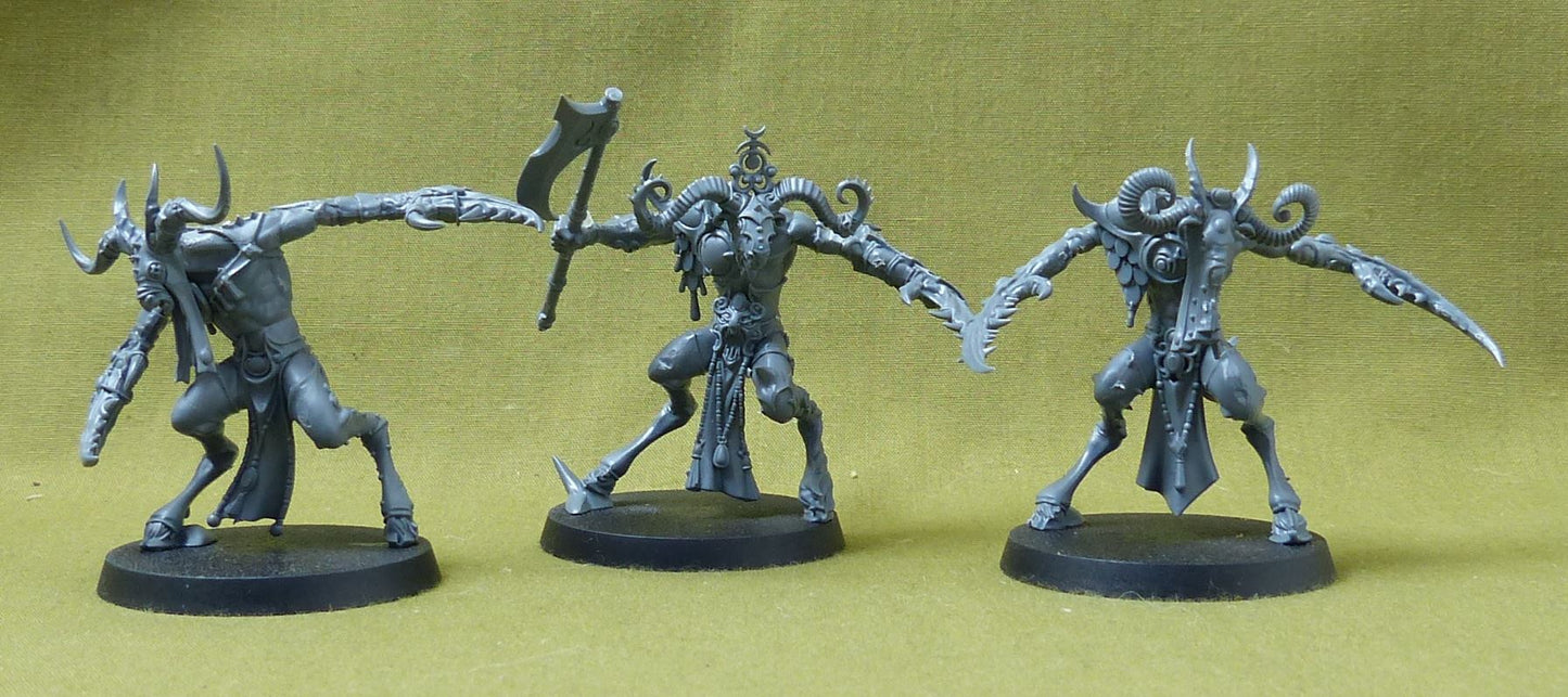 Slaangor Fiendbloods - Hedonites of Slaanesh - Warhammer AoS #1ZJ