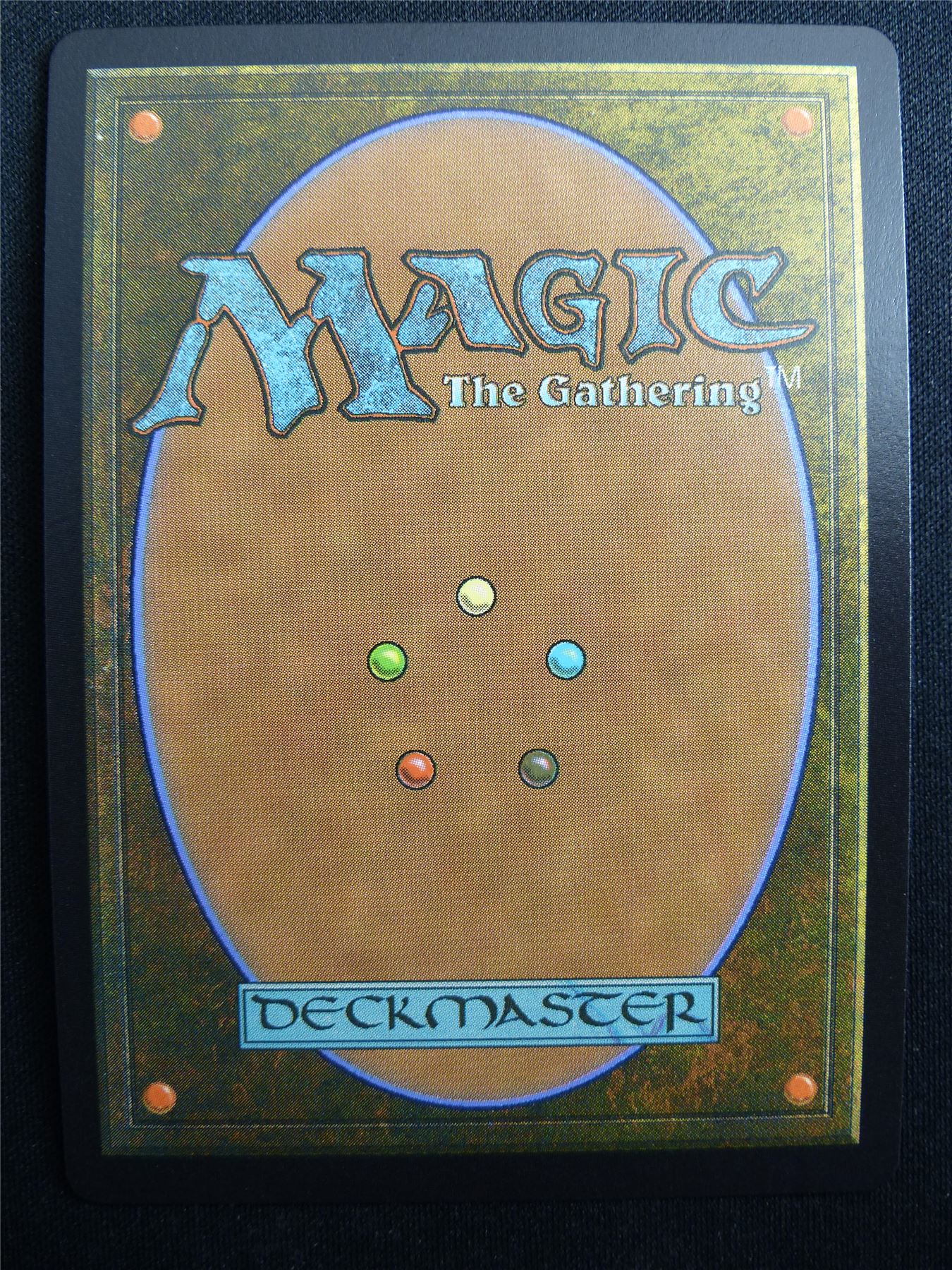Wakka Devoted Guardian Chocobo Track Foil - FIC - Mtg Card #3F5