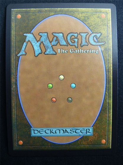 Wakka Devoted Guardian Chocobo Track Foil - FIC - Mtg Card #3F5