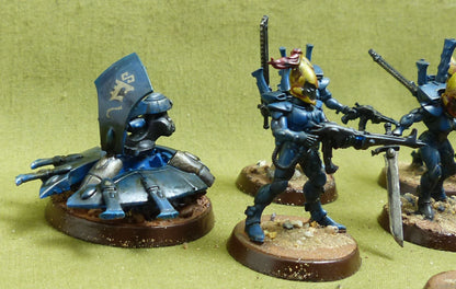 Storm Guardians painted - Aeldari - Warhammer 40K #19N