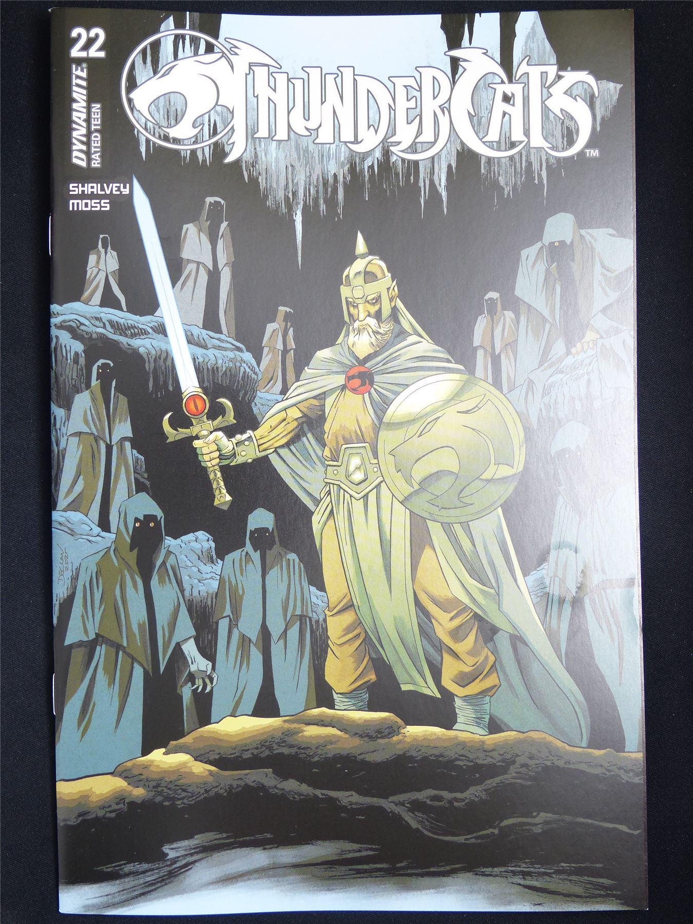 THUNDERCATS #22 Cvr B - Dec 2025 Dynamite Comic #VR
