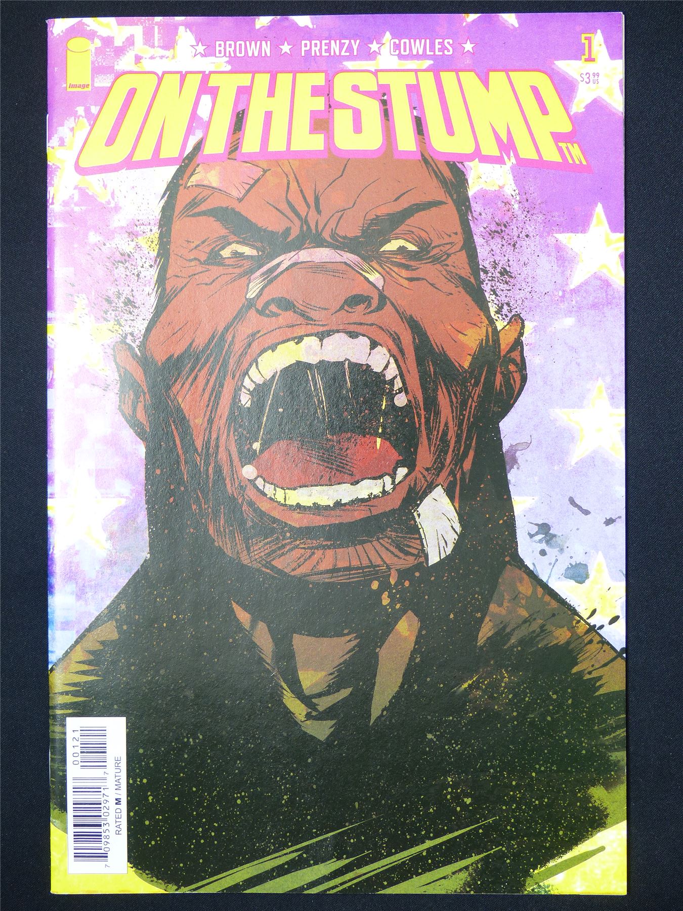 ON The Stump #1 - B&B Image Comic #8E4