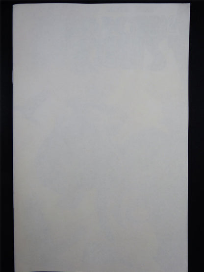 AMERICAN Dream #2 - May 2023 Band of Bands Comic #YV