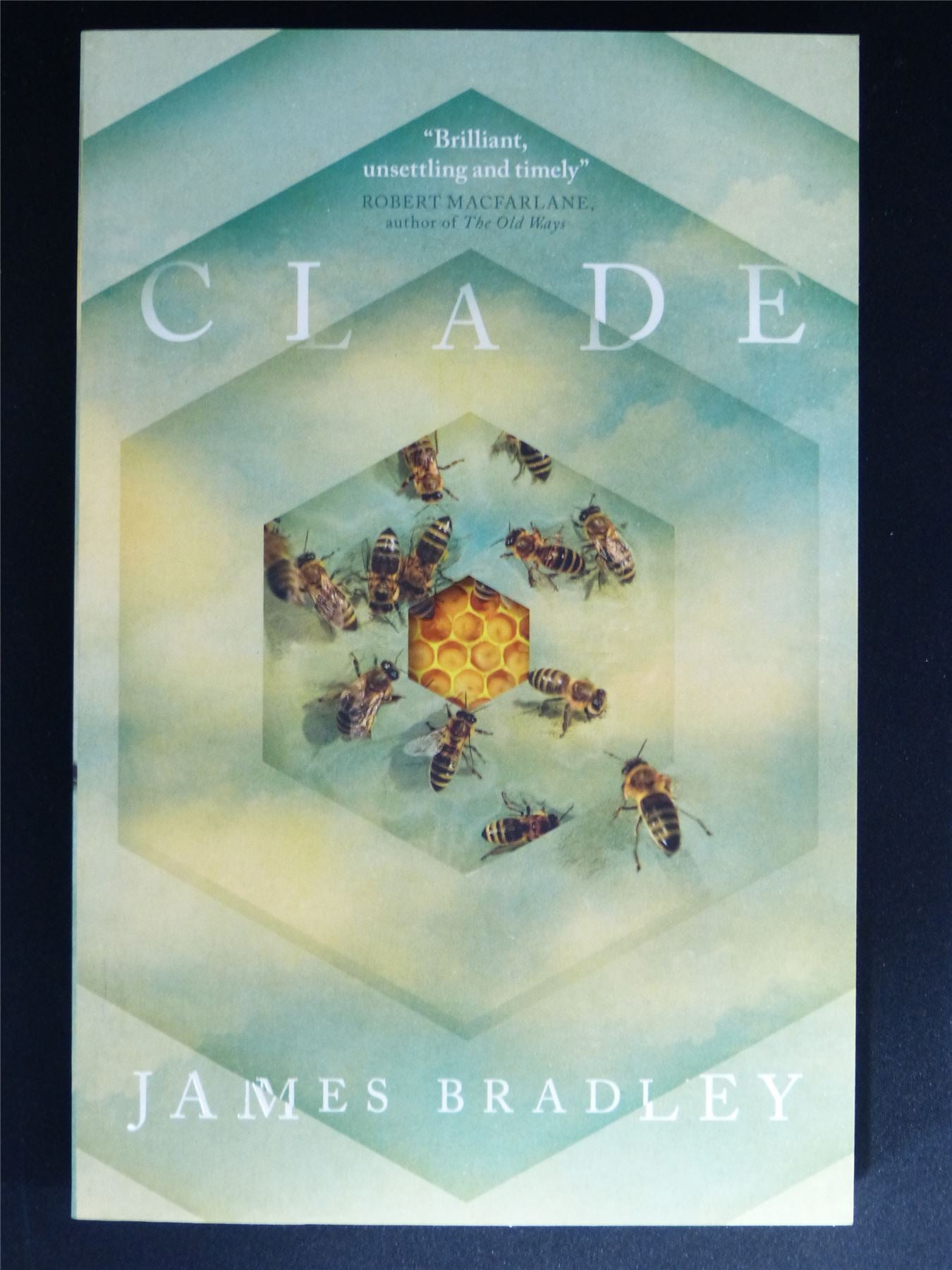 Clade - Titan Novel Softback #O6